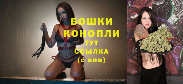 гидра Абаза
