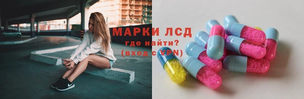 гидра Абаза