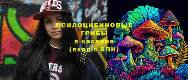 гидра Абаза