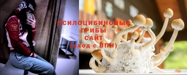 гидра Абаза