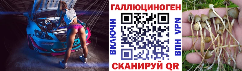Псилоцибиновые грибы GOLDEN TEACHER  Донецк 
