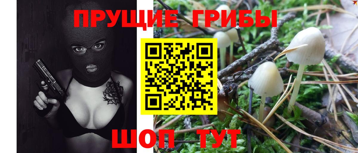 Галлюциногенные грибы Psilocybine cubensis Донецк